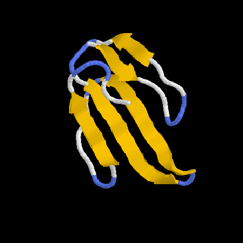 P25494