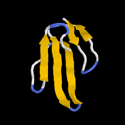 P62376